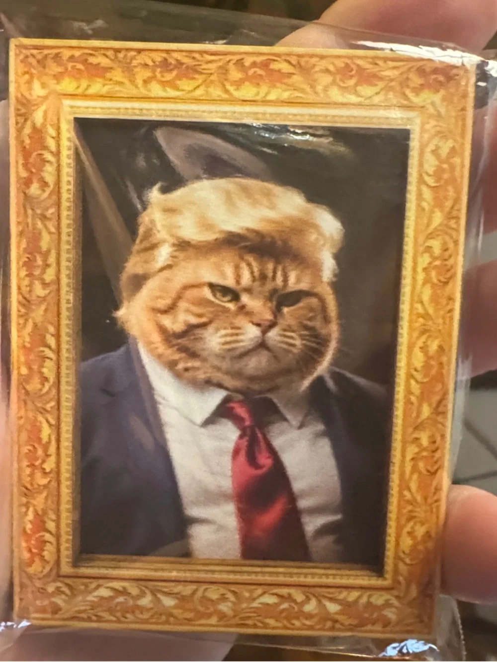Novelty Cat Portrait Magnet - Orange Framed Ginger Cat in Suit
